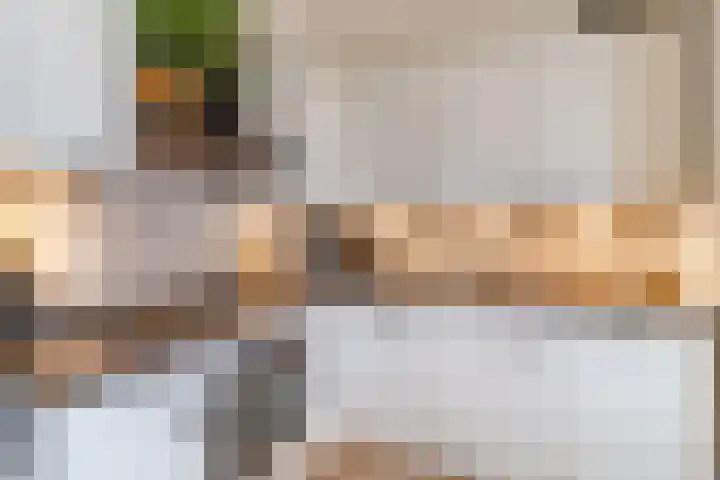 Rosmolen 47 Ridderkerk thumbnail 20