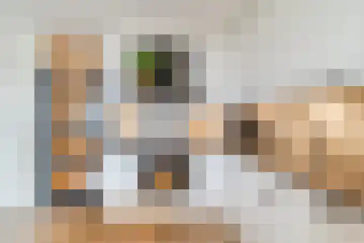 Rosmolen 47 Ridderkerk thumbnail 21