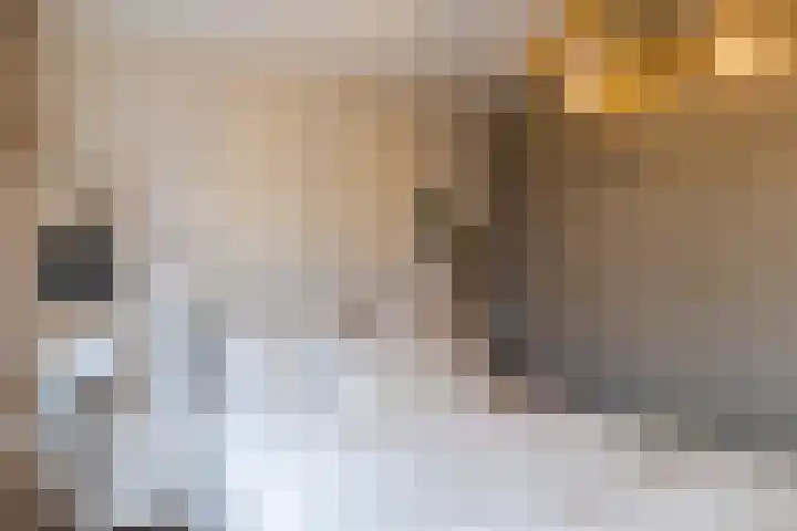 Rosmolen 47 Ridderkerk thumbnail 24