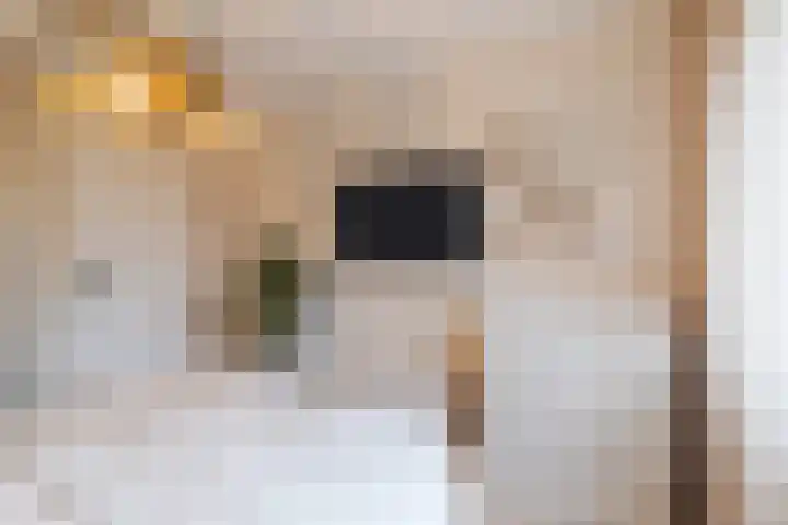 Rosmolen 47 Ridderkerk thumbnail 25