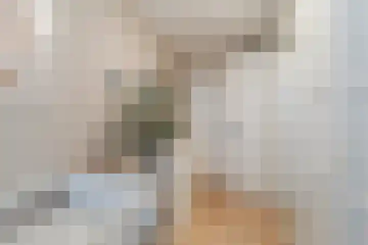 Rosmolen 47 Ridderkerk thumbnail 26