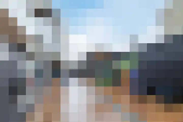Rosmolen 47 Ridderkerk thumbnail 33