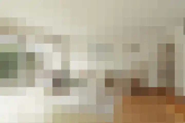 Rosmolen 71 Ridderkerk thumbnail 12