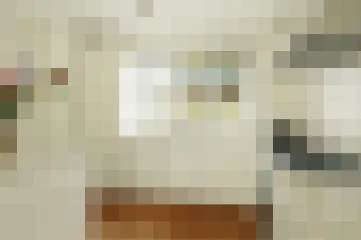 Rosmolen 71 Ridderkerk thumbnail 14