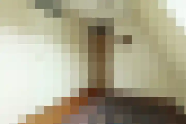 Rosmolen 71 Ridderkerk thumbnail 24