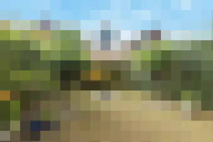 Rosmolen 71 Ridderkerk thumbnail 31
