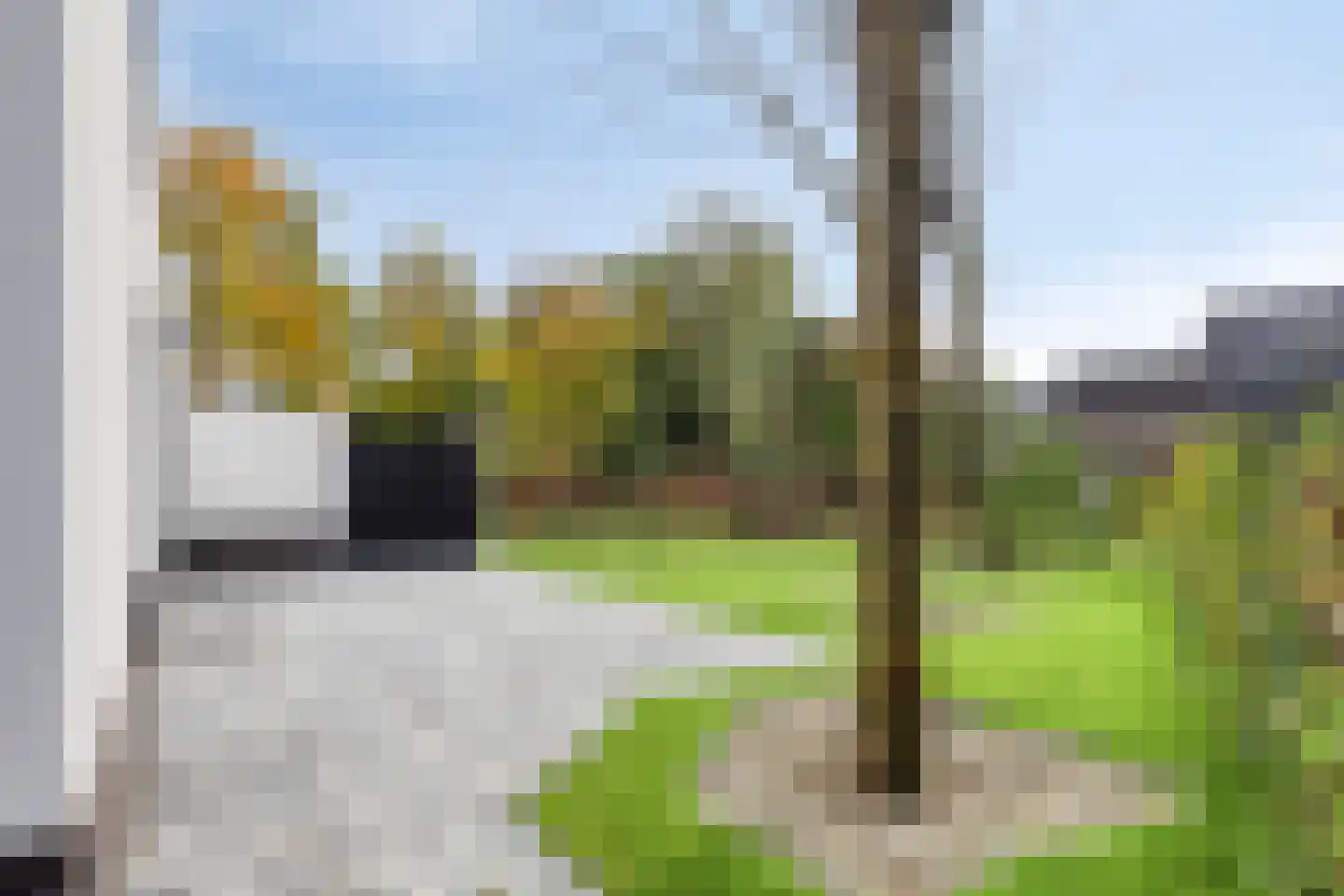 Rosmolen 8 de Lutte thumbnail 32