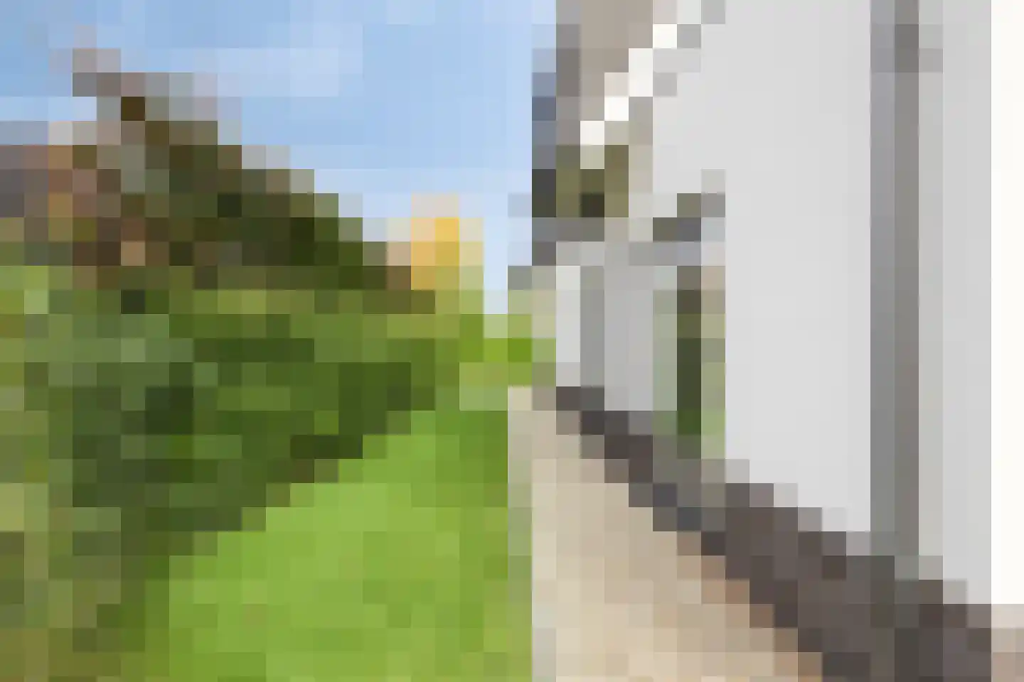 Rosmolen 8 de Lutte thumbnail 33
