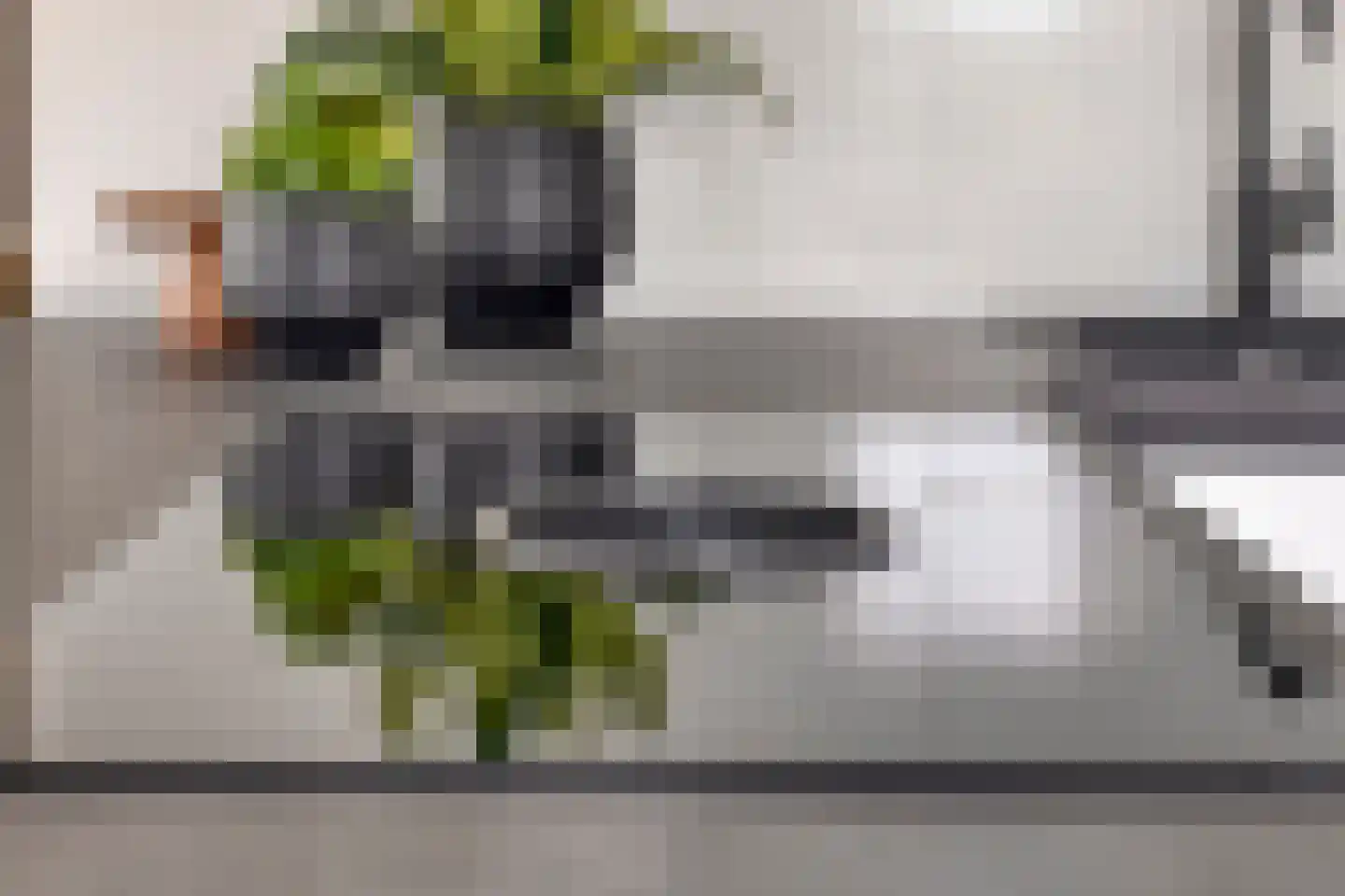 Rosmolen 8 de Lutte thumbnail 43