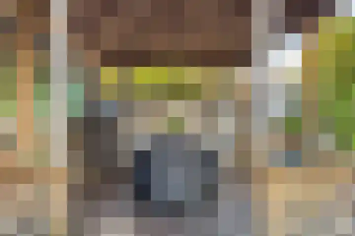 Rosweide 18 Zoetermeer thumbnail 14