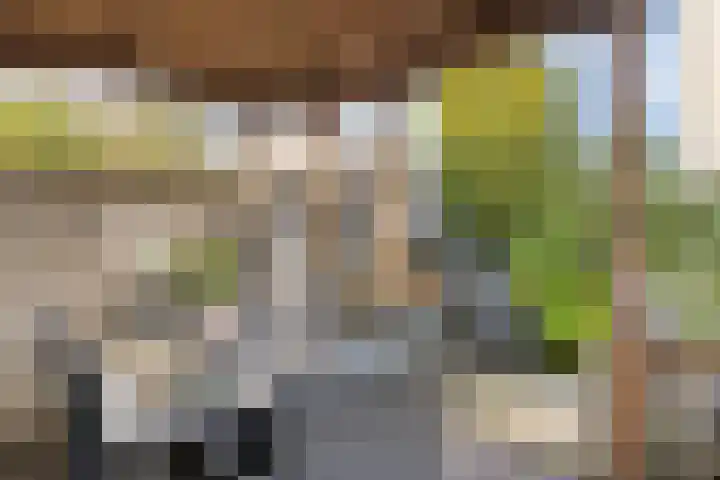 Rosweide 18 Zoetermeer thumbnail 15