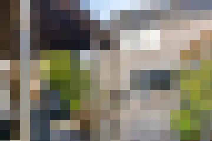 Rosweide 18 Zoetermeer thumbnail 16