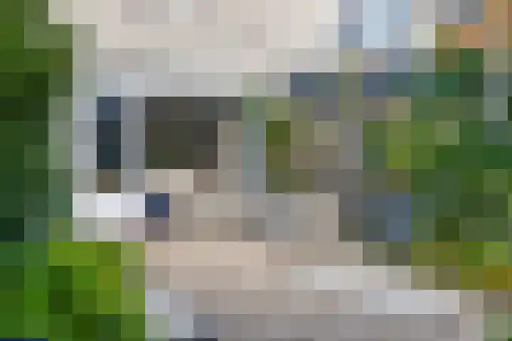 Rosweide 18 Zoetermeer thumbnail 17