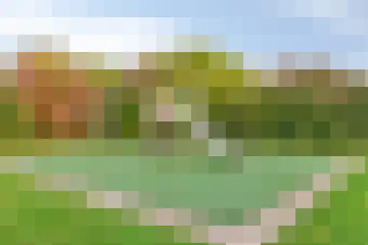 Rosweide 18 Zoetermeer thumbnail 32