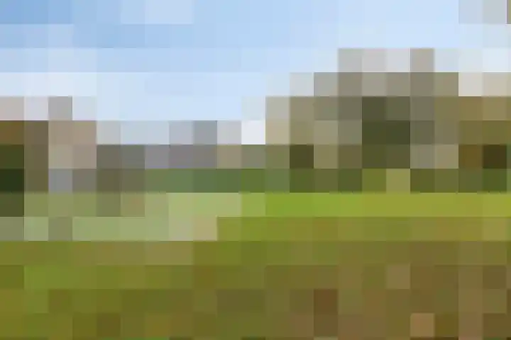 Rosweide 18 Zoetermeer thumbnail 33