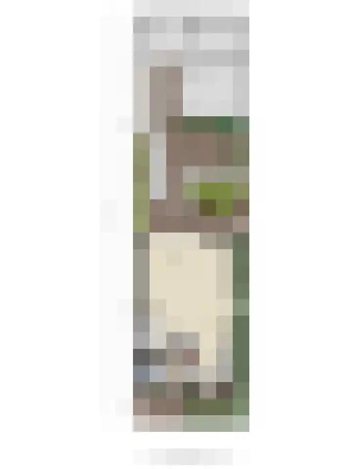 Rosweide 18 Zoetermeer thumbnail 36