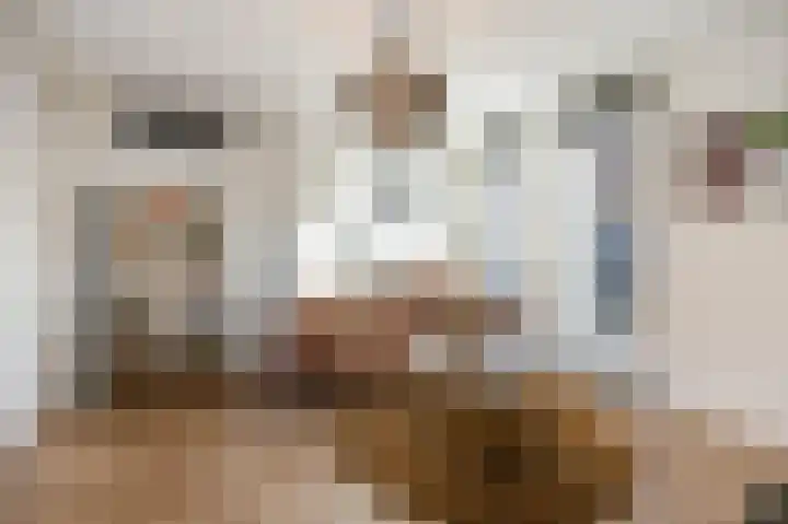 Roterweg 1 Echt thumbnail 10