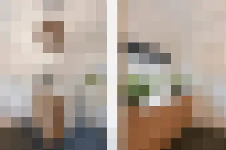 Roterweg 1 Echt thumbnail 23