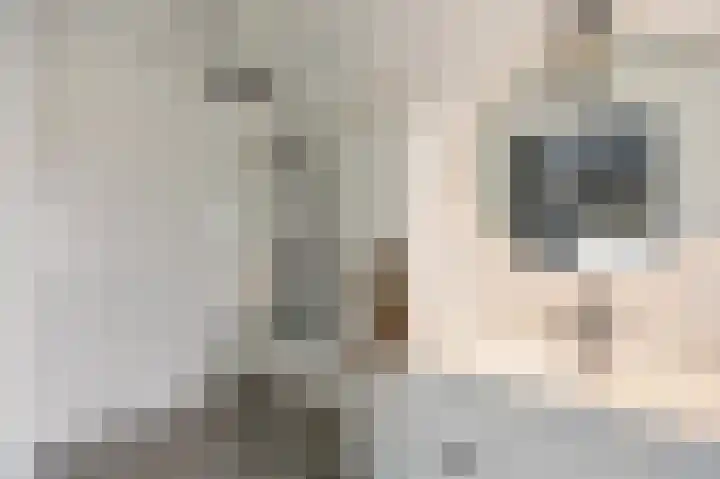 Roterweg 1 Echt thumbnail 28