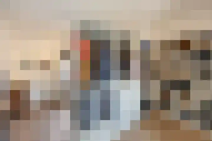 Roterweg 1 Echt thumbnail 33
