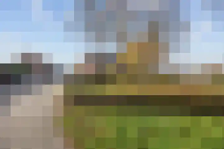 Roterweg 1 Echt thumbnail 41