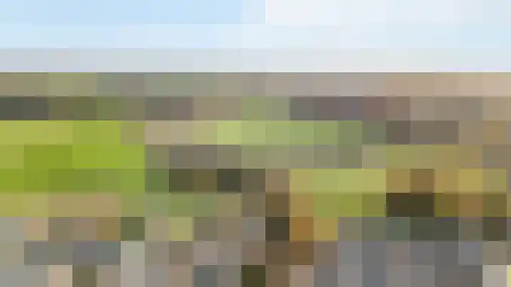 Roterweg 1 Echt thumbnail 42