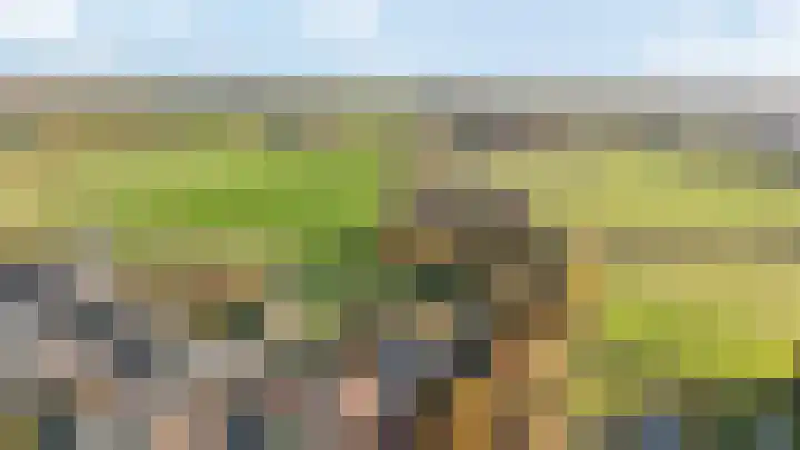 Roterweg 1 Echt thumbnail 43