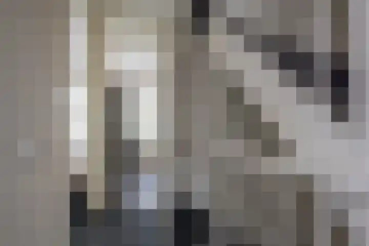 Rotsvlinder 30 Nijkerk thumbnail 15
