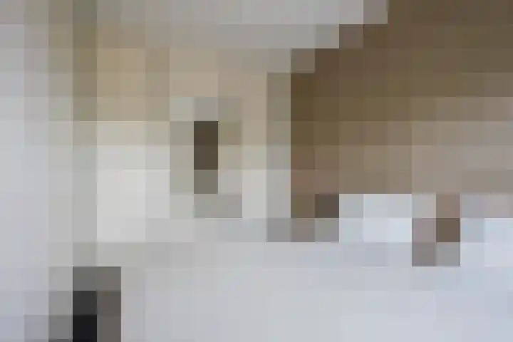 Rotsvlinder 30 Nijkerk thumbnail 17