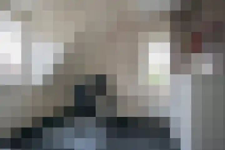 Rotsvlinder 30 Nijkerk thumbnail 18