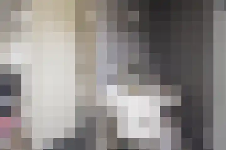 Rotsvlinder 30 Nijkerk thumbnail 25