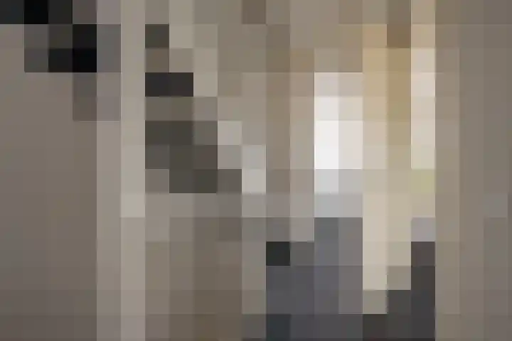 Rotsvlinder 30 Nijkerk thumbnail 26