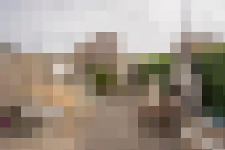 Rotsvlinder 30 Nijkerk thumbnail 31