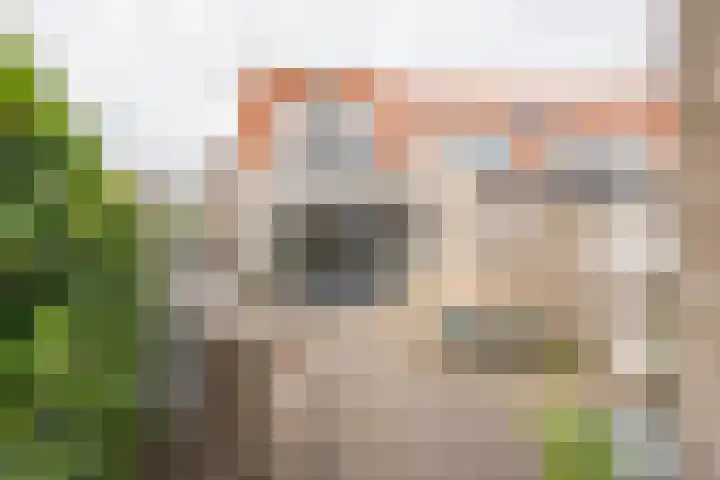Rotsvlinder 30 Nijkerk thumbnail 32