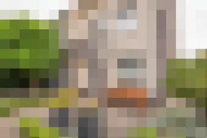 Rotsvlinder 30 Nijkerk thumbnail 33