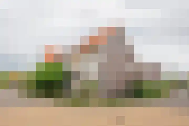 Rotsvlinder 30 Nijkerk thumbnail 36