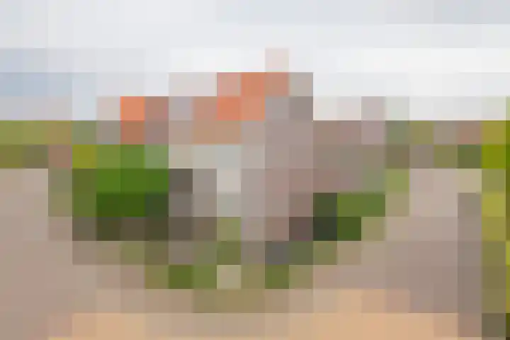 Rotsvlinder 30 Nijkerk thumbnail 37