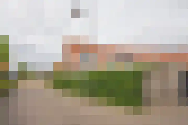 Rotsvlinder 30 Nijkerk thumbnail 38