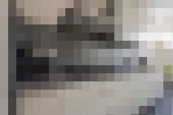 Rotsvlinder 30 Nijkerk thumbnail 8
