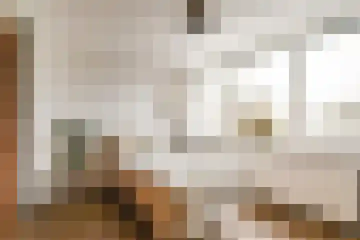 Rottekade 165 Bergschenhoek thumbnail 17
