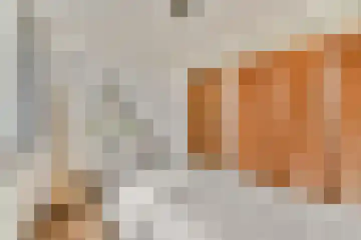 Rottekade 165 Bergschenhoek thumbnail 18