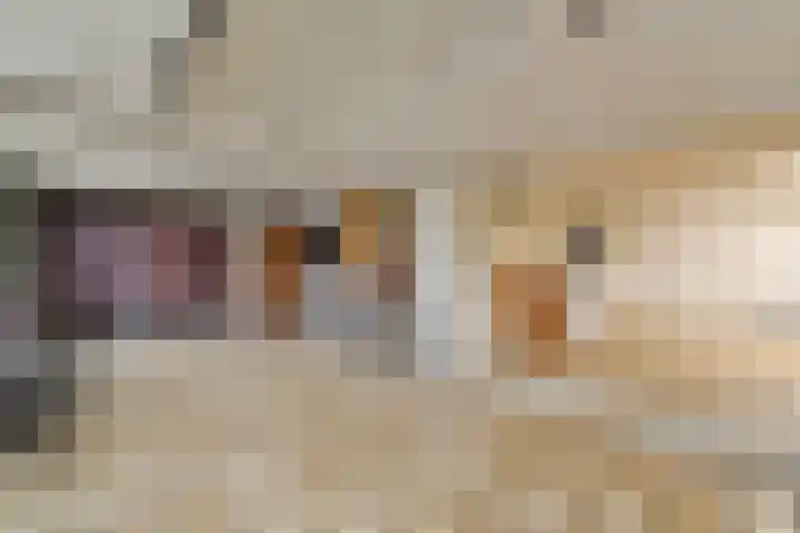 Rottekade 165 Bergschenhoek thumbnail 24
