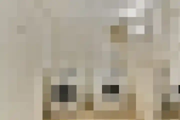 Rottekade 165 Bergschenhoek thumbnail 25