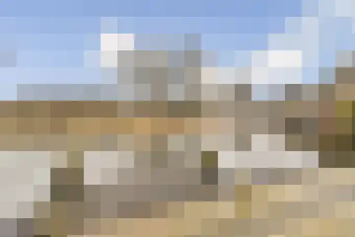 Rottekade 165 Bergschenhoek thumbnail 29