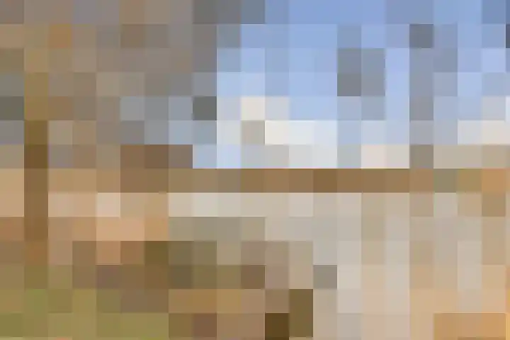 Rottekade 165 Bergschenhoek thumbnail 31