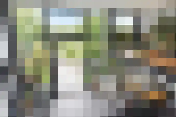 Rottekade 210 Bergschenhoek thumbnail 17