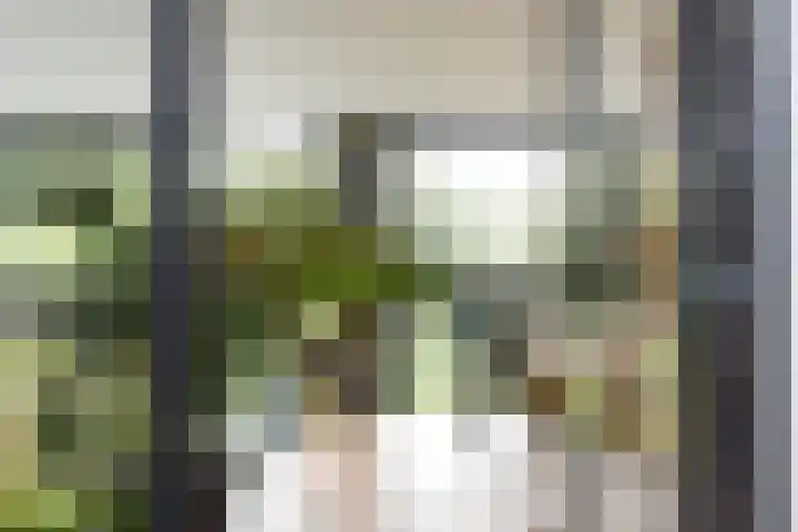 Rottekade 210 Bergschenhoek thumbnail 18