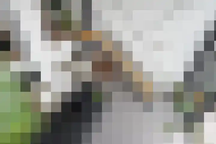 Rottekade 210 Bergschenhoek thumbnail 24