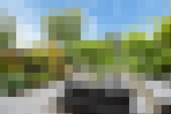 Rottekade 210 Bergschenhoek thumbnail 28