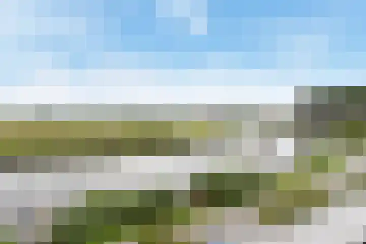 Rottekade 210 Bergschenhoek thumbnail 4